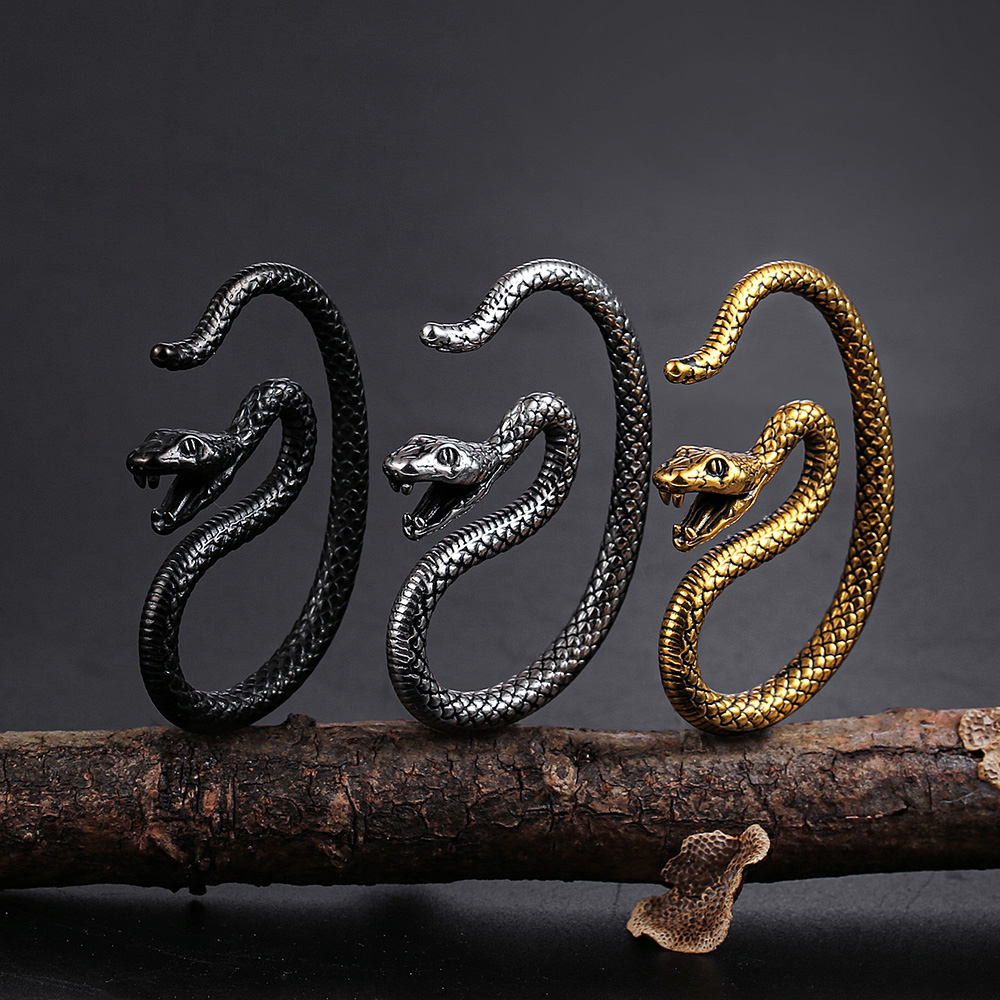 Earblity 2PCS Oor Gewichten 31 - Body Jewelry Hangers recensie en prijs