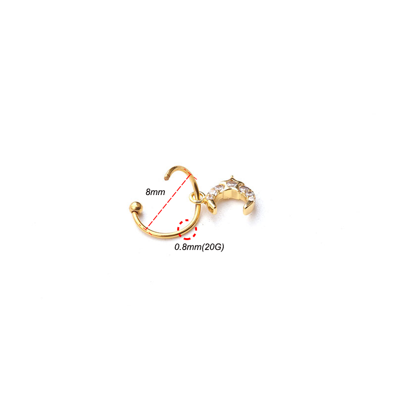 1Pc Universele Ring Hoepel Ear - Body Jewelry Universe recensie en prijs